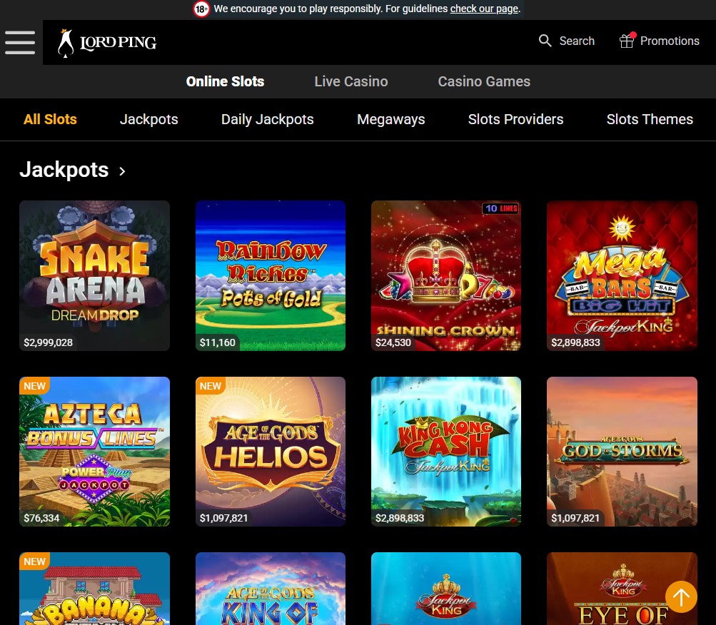 LordPing Casino Desktop Aperçu 2