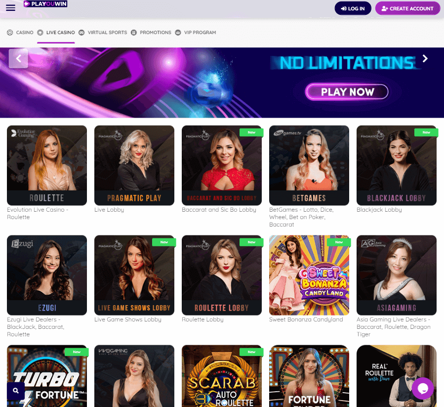 Aperçu 1 du Casino Playouwin sur Desktop