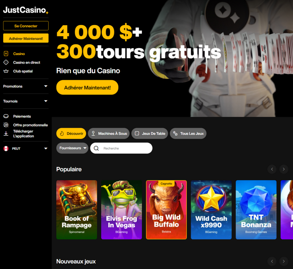 Just Casino Desktop Aperçu 2