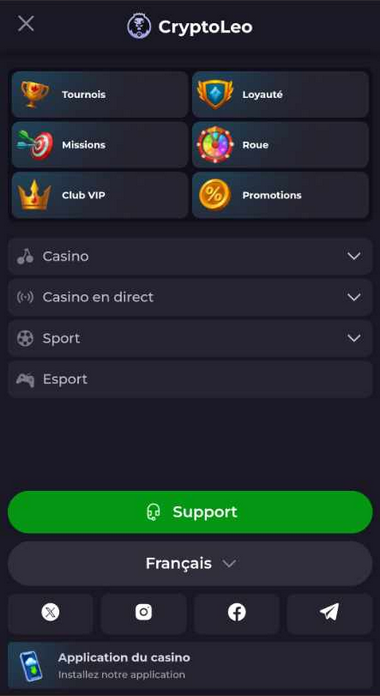 Aperçu 1 du Mobile de CryptoLeo Casino
