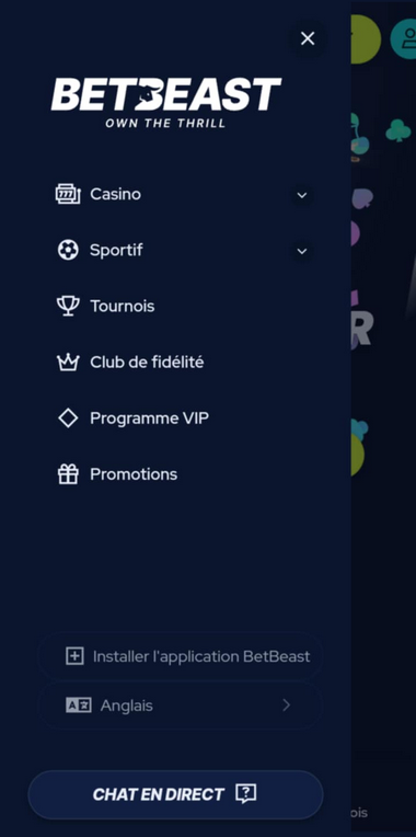 Vue d'ensemble BetBeast Casino Mobile 1