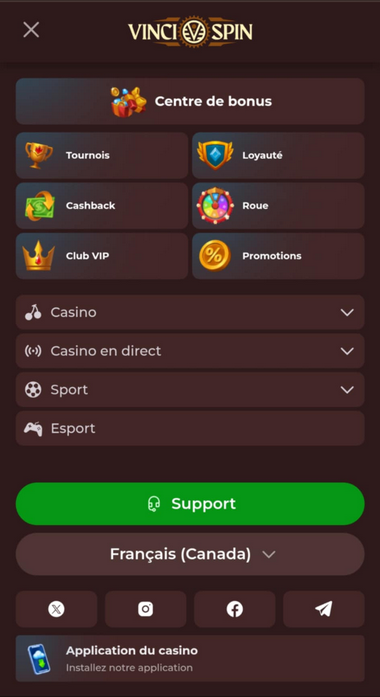 Vincispin Casino Mobile Aperçu 1