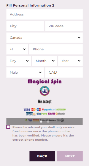 Image showcasing the Magical Spin Casino registration process 2.