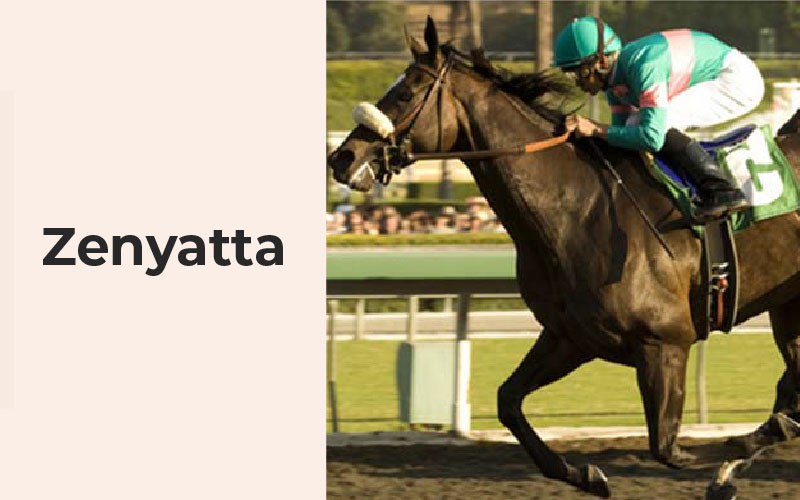 11 Best Racehorses of All Time