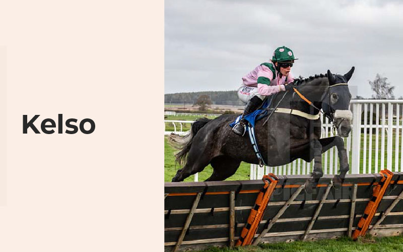 Tom Dreaper