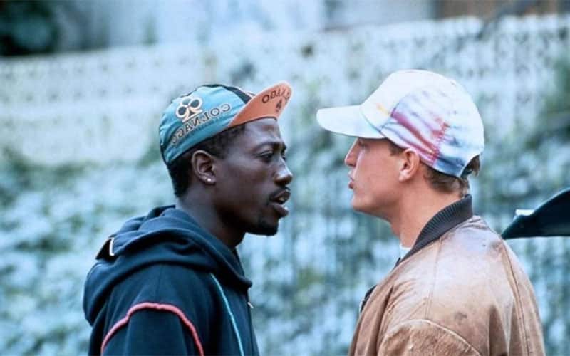 These films promise excitement and thrills, offering captivating narratives about gambling. They serve as both entertaining stories and cautionary tales on the do's and don'ts of betting.
