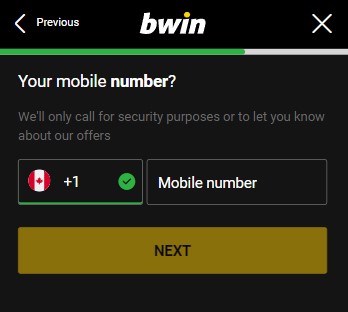 Bwin Registration Process Image 4