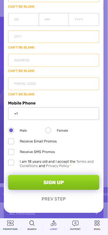 Visual Guide to Octocasino Registration Process Image 3