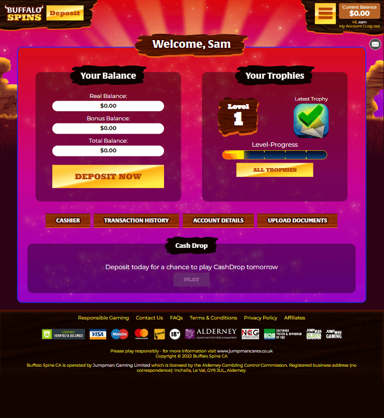 Buffalo Spins Casino Desktop Preview 2