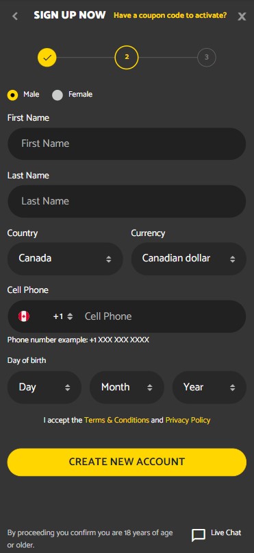 An image showcasing the Palmslots Casino registration process, Part 2.