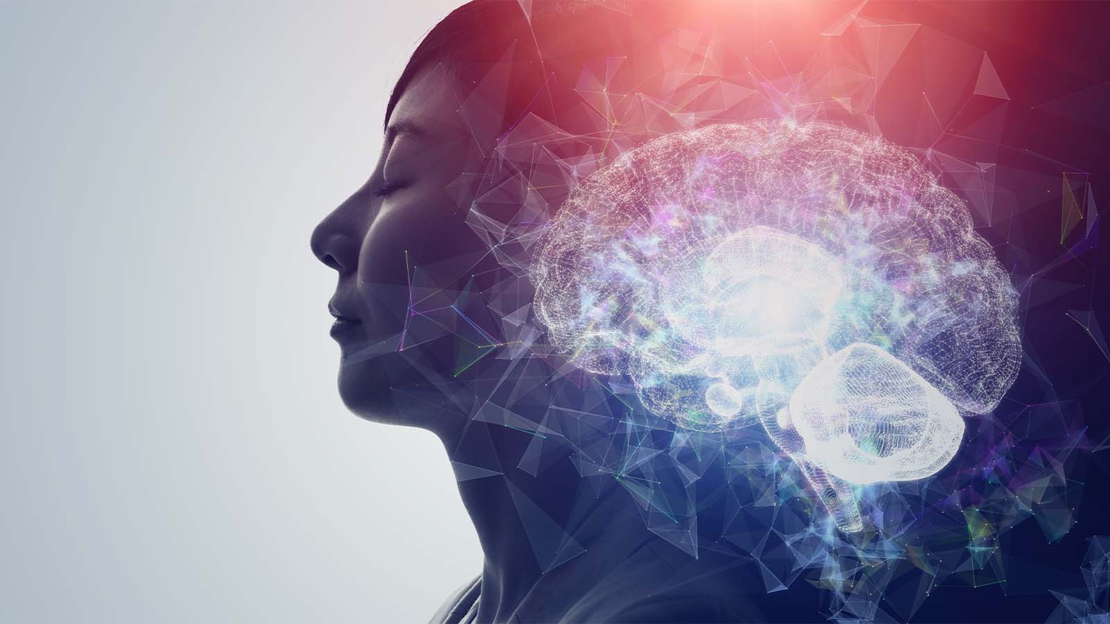 What happens to your brain