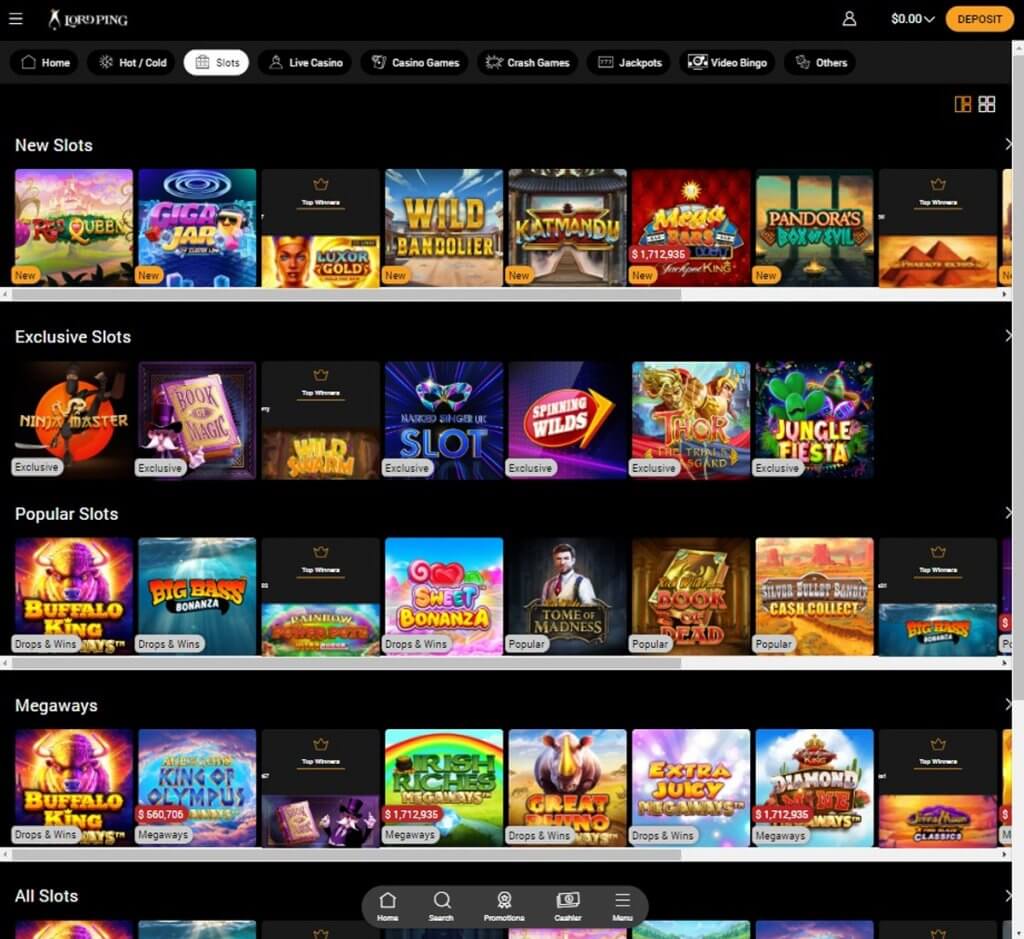 LordPing Desktop Preview 1