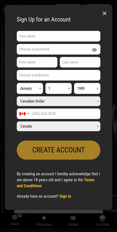 Big Dollar Casino Registration Guidance: Image 2