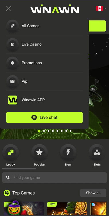 Winawin Casino Mobile Preview 2