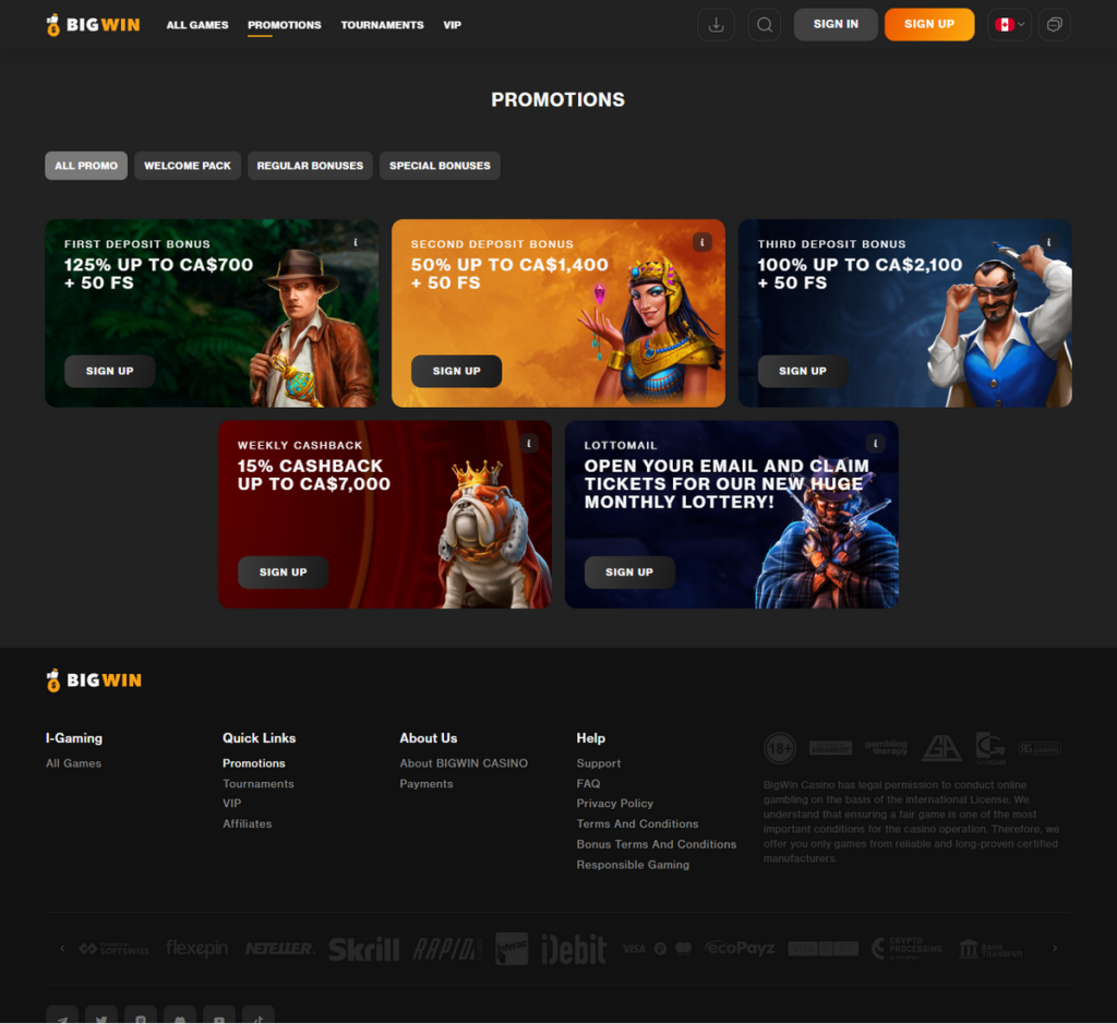 BigWin Casino Desktop Preview 1