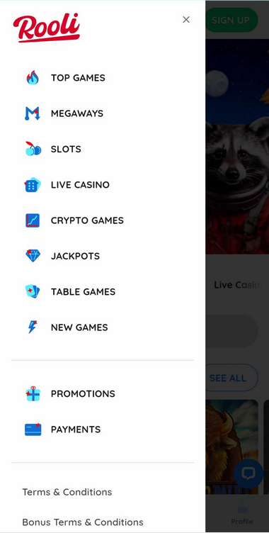 Rooli Casino Mobile Preview 2