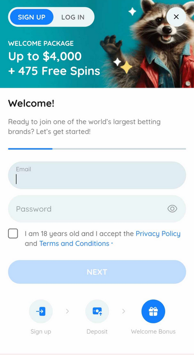 Illustrated Guide: Rooli Casino's Registration Process Image 4