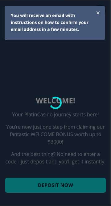 Another Step-by-step Visual Guide to Platin Casino Registration